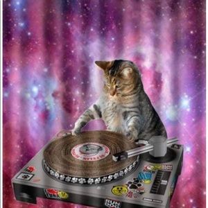 Meet your Posher, Jacquelyn